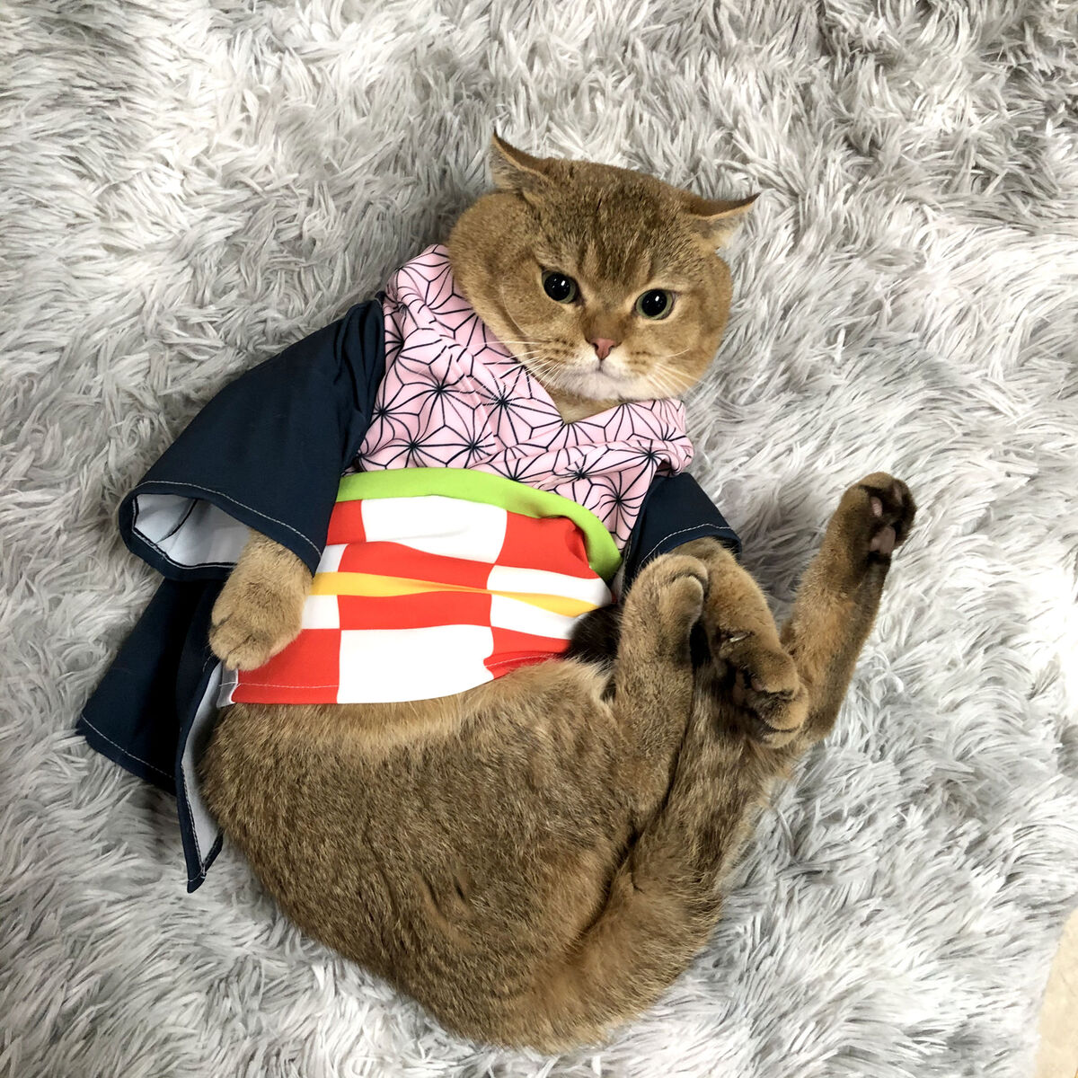 Anime Hunter Pet Cap